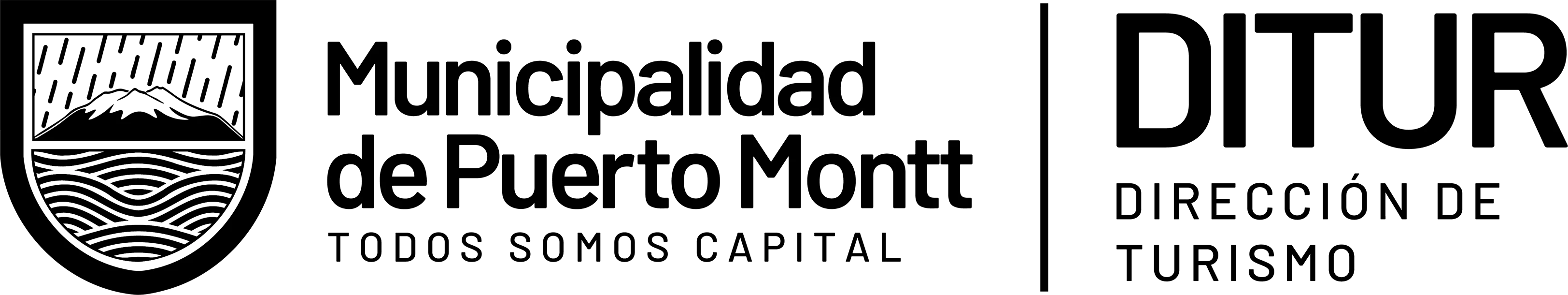 Municipalidad de Puerto Montt | Ditur